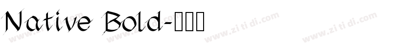 Native Bold字体转换